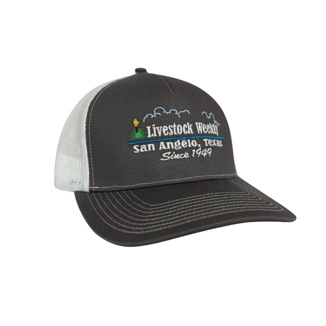 Dark Gray Trucker Hat