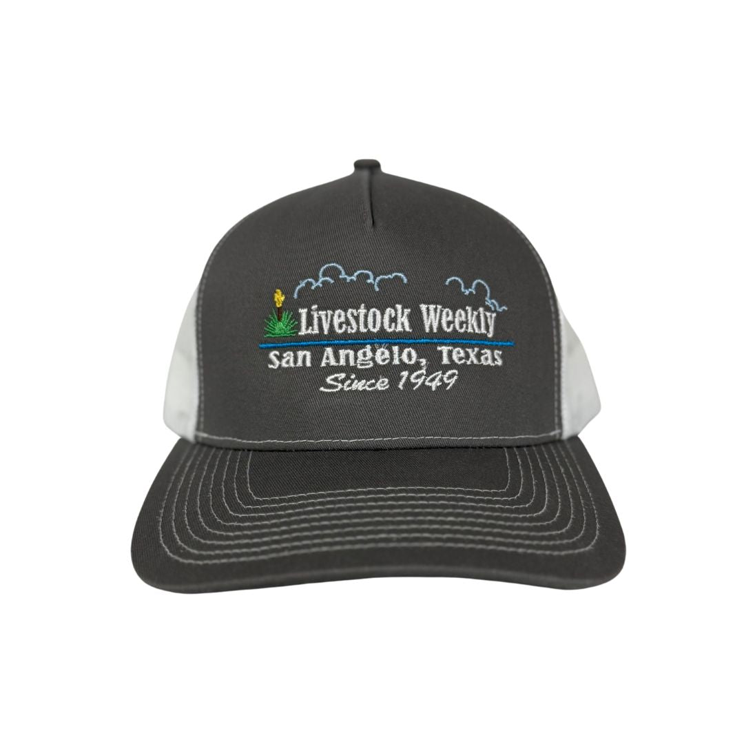Dark Gray Trucker Hat