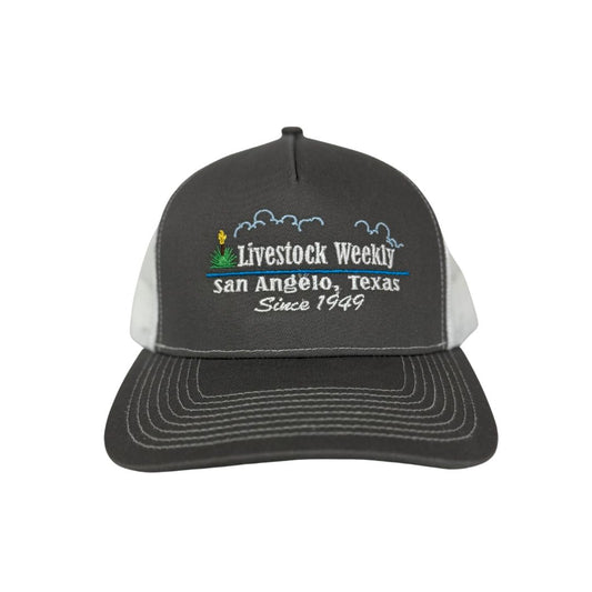 Dark Gray Trucker Hat