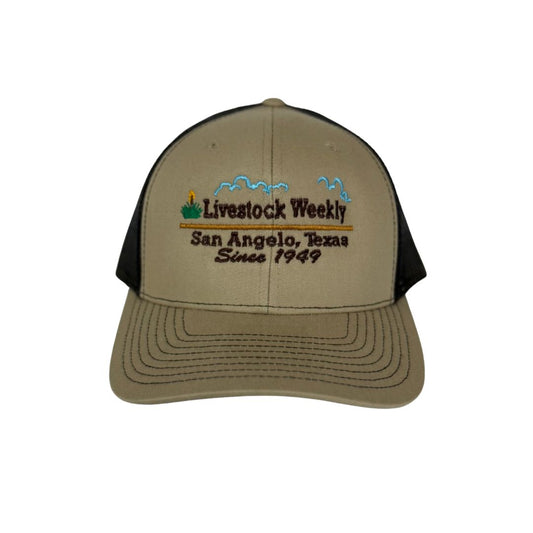 Brown Trucker Hat