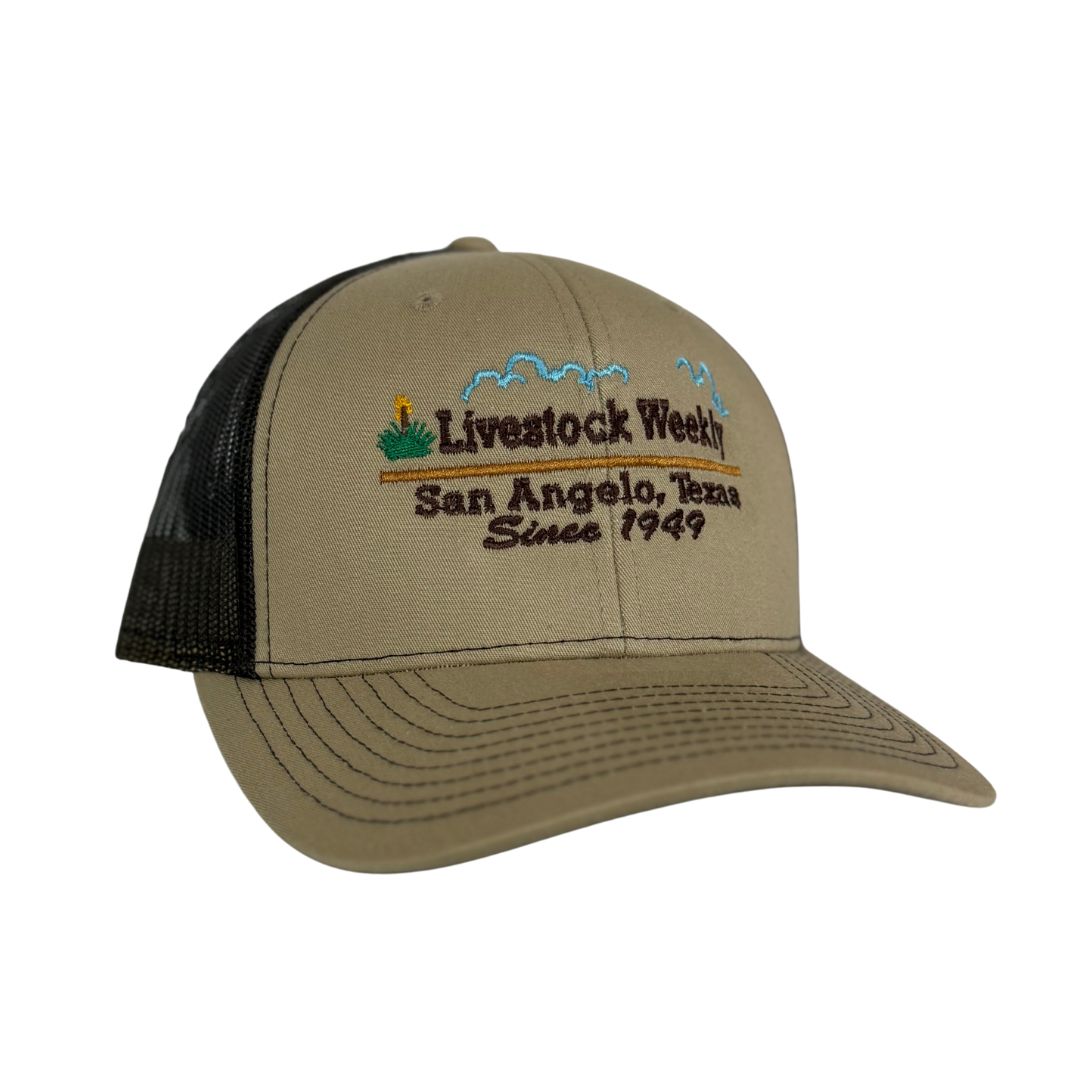 Brown Trucker Hat